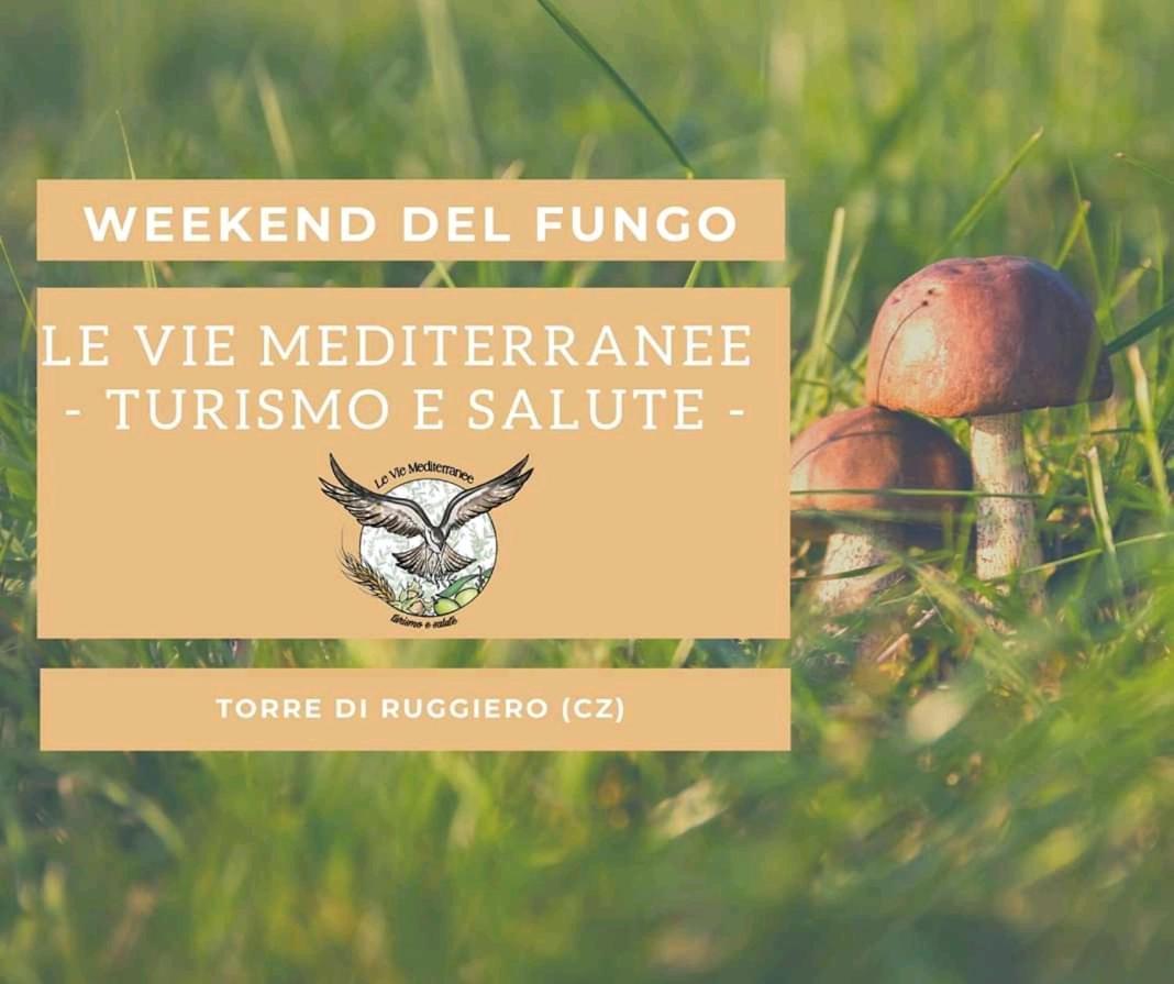 Le Vie Mediterranee Torre di Ruggiero Dış mekan fotoğraf